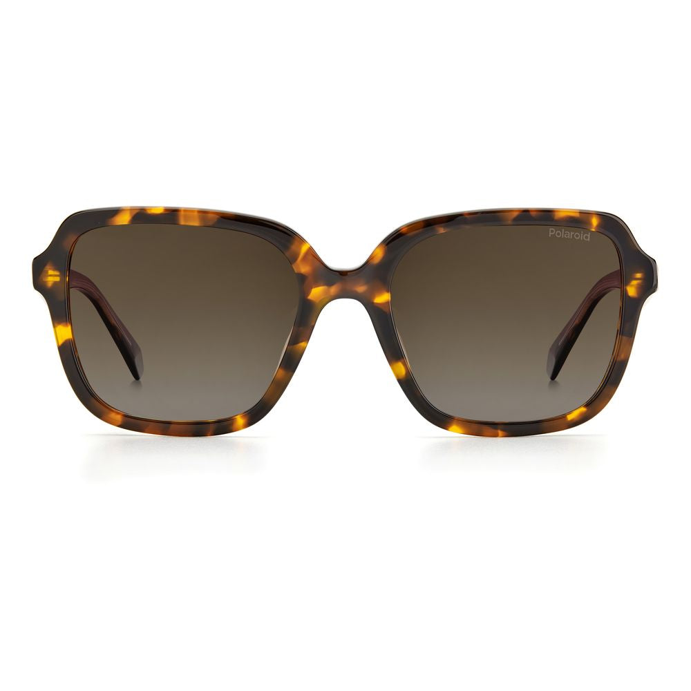 Polaroid Braune Acetat -Sonnenbrille
