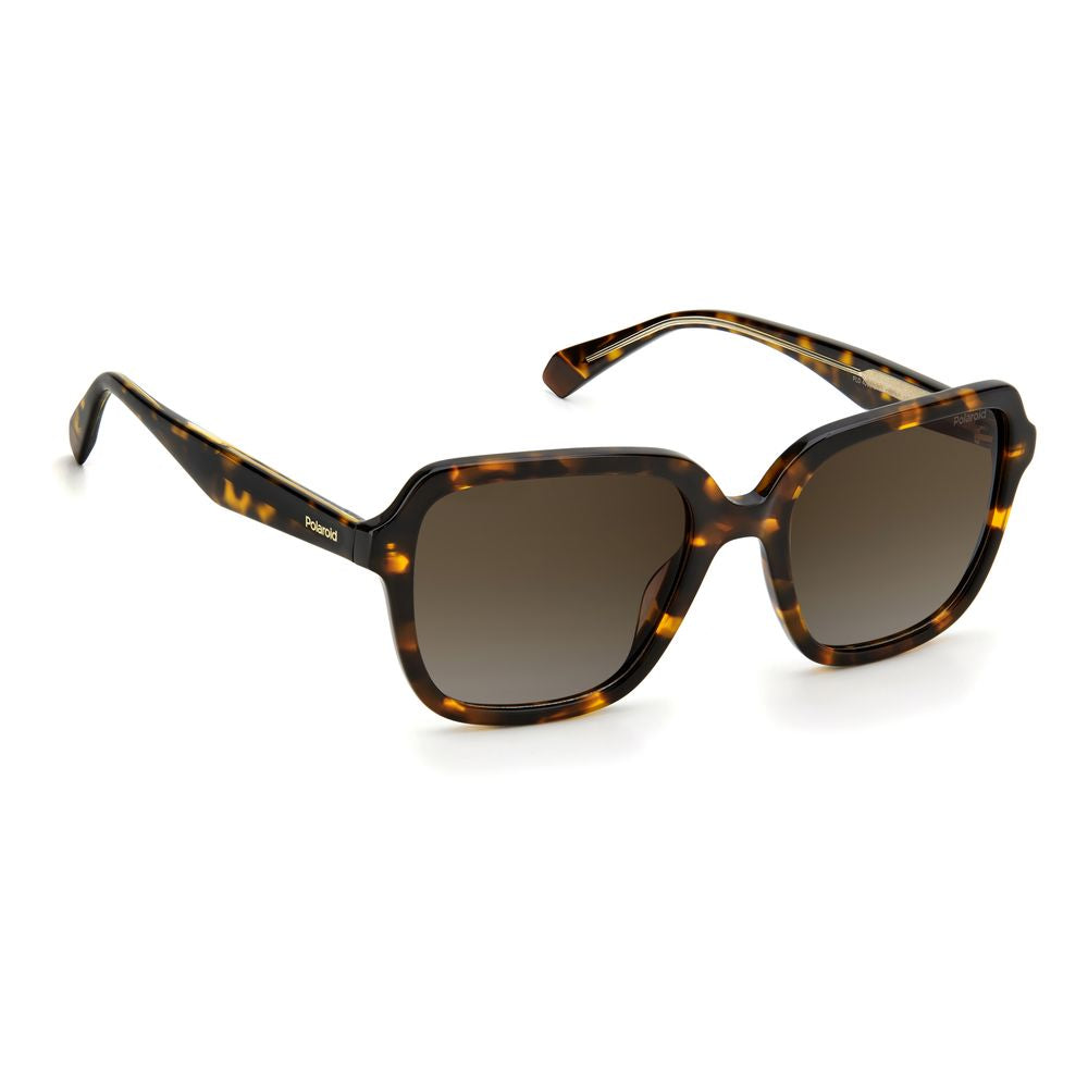 Polaroid Braune Acetat -Sonnenbrille