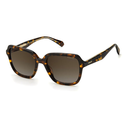 Polaroid Braune Acetat -Sonnenbrille